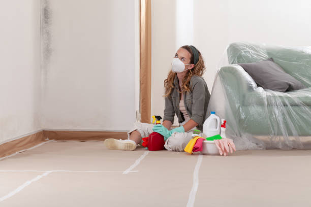 Reliable Mold Remediation contractor in Universal City, TX by WQB Mold Removal